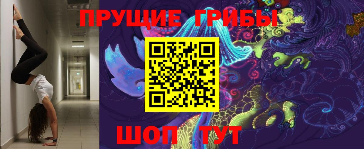 Люберцы  Галлюциногенные грибы Magic Shrooms  Вход с VPN  Галлюциногенные грибы GOLDEN TEACHER 